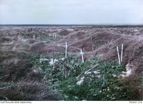 scrapironflotilla:Scattered graves marked by simple white crosses on the old Somme battlefields, Sep