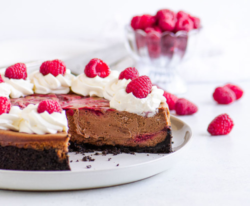  Chocolate Raspberry Cheesecake | Itsy Bitsy Kitchen 