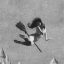 sophos-witch