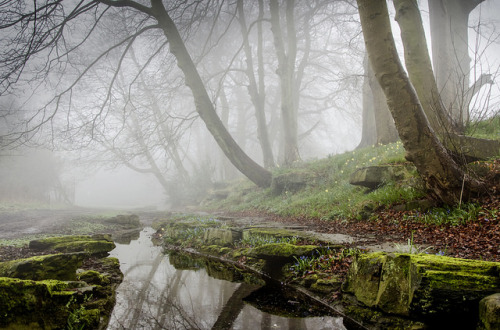 Doxford Park, Sunderland by DM Allan on Flickr.