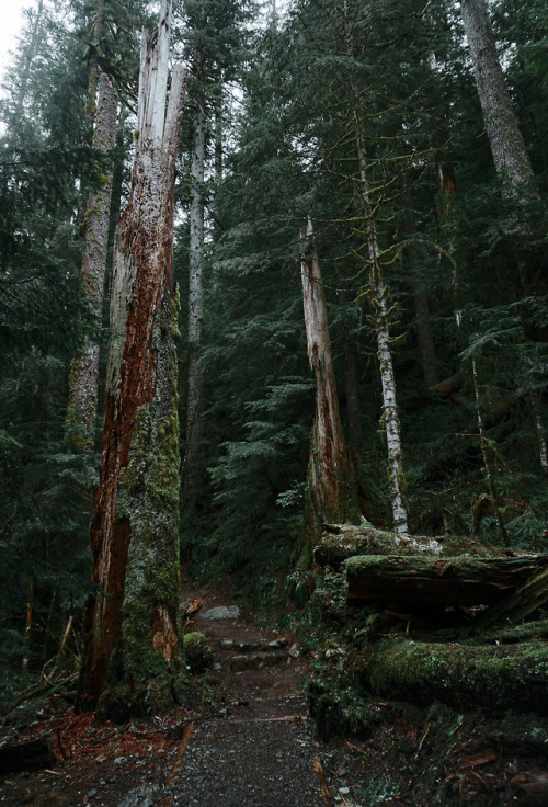 colors on the hike by Sam N www.instagram.com/snofzig