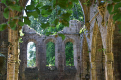 allthingseurope:  Abbaye de Trois Fontaines, France (by Vestia) 