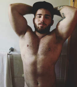 bearlywill.tumblr.com post 163368119318