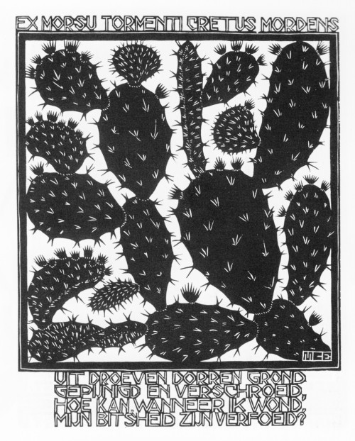 cactus-in-art:Maurits Cornelis Escher (Dutch, 1898 - 1972)Emblemata - Cactus, 1931