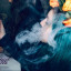 we-all-go-to-hell-miau-miau