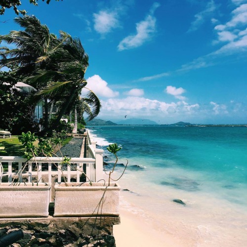 splashofocean: myboyfriendruinedmyusername: More tropical here Can this be my backyard please?