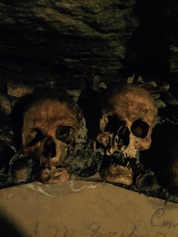 pudgycat:This is very far from something I would normally post but I thought of sixpenceee when my dad sent me these photos of the tour he took underground in the paris catacombs!