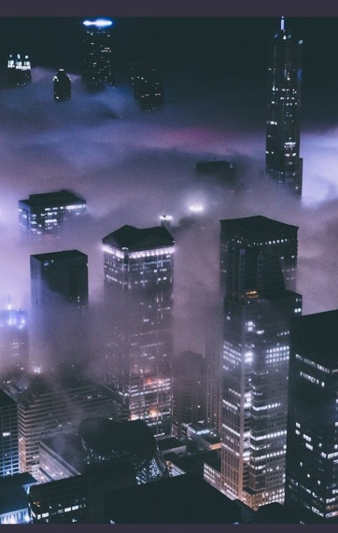 ozed: city lights 
