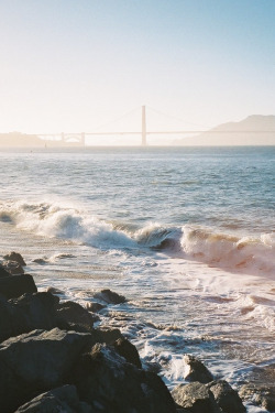 livingpursuit:  The Golden Gate by Andrea Cheng