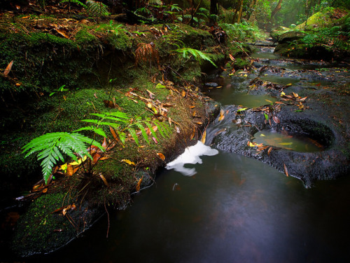 Reduced to a Trickle by Peter Knott on Flickr.