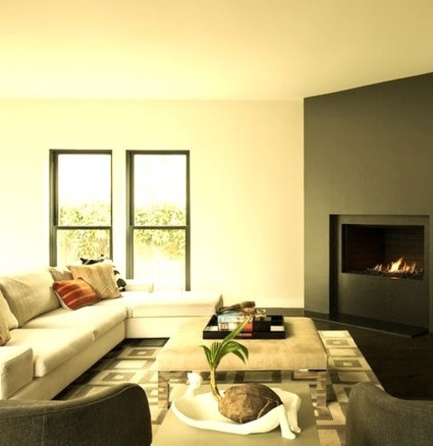 Contemporary Living Room - Living Room