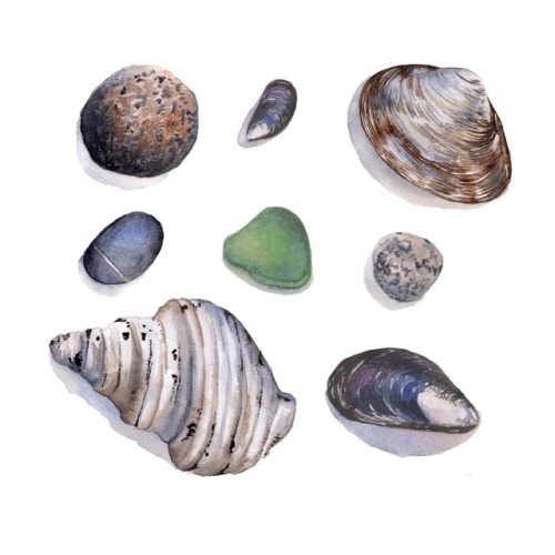 Beach combing finds.  Watercolor by Kate Boyington www.etsy.com/shop/KateBoyingtonArt