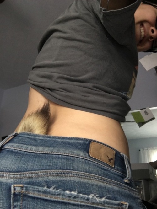 bigbigirl:Fox tails in my mail box. Love it.