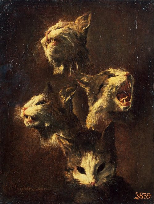 Frans Snyders (Flemish, 1579-1657, b. Antwerp, Belgium) - Study of Cats Heads, 1609, Paintings: Oil 