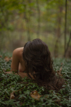 nikkishoots:  dreams of you m: @kelseydylan | p: nikkishoots 