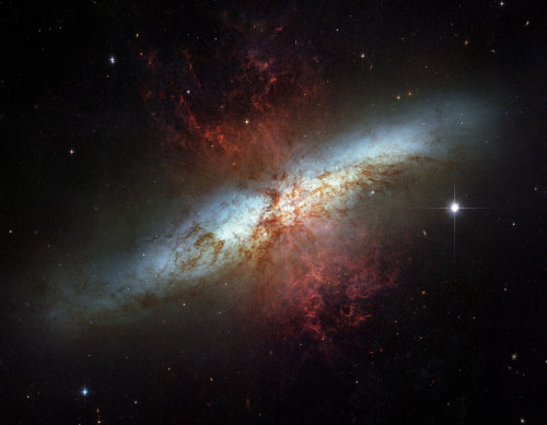 meteorshower-s:  just—space:  Messier 82 the magnificent starburst galaxy
