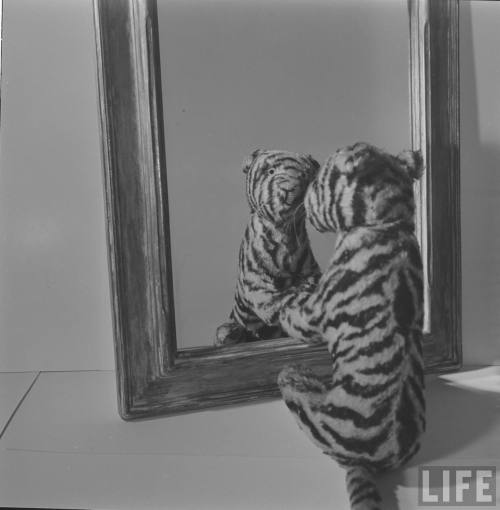 “I was told it was the year of the Tigger&hellip;”(George Skadding. 1950)
