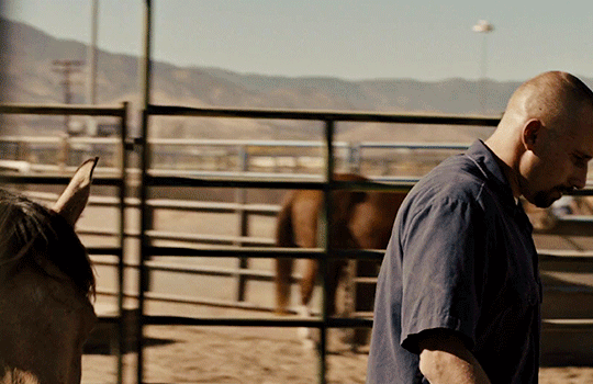 That Cool Thing When A Horse Imprints On You And Follows You Around Forever Explore Tumblr Posts And Blogs Tumgir