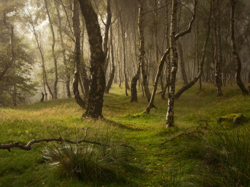 cair–paravel:Bolehill, Derbyshire by vuzephotography.