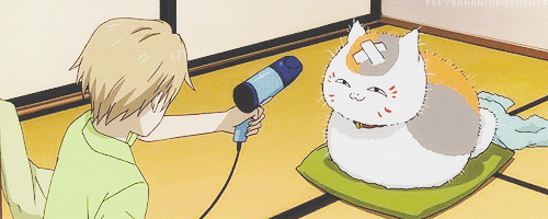 ちぃ奎