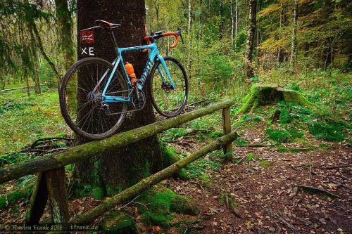 thebicycletree: Cycling with the Cross bike in the forests of the Wittgensteiner Land. In the green