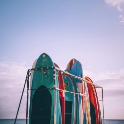 surfursparadise:  surfing-in-harmony:  sunbleached-freckles:  erinparishawaii:  Waikiki Hawaii   Insta: @erin_paris   spring break ● stay safe &amp; remember make smart decisions ● good vibes  🏄🌊😍  insta @ halvornybo