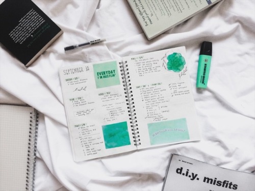 3-22-18Mint green spread.More bujo? Dentistry study notes? Book captures? Let me know