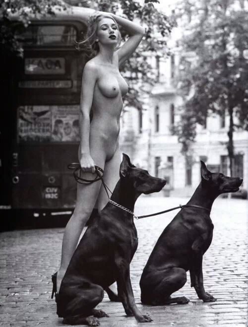 ignorethedog:  I 