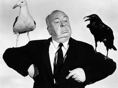 tcm:Remembering Alfred Hitchcock on his birthday, here in a promo photo for THE BIRDS (’63)