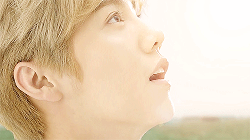 yuuridonkatsu:  you light up my world with your smile.  
