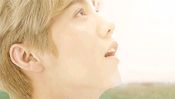 Yuuridonkatsu:  You Light Up My World With Your Smile.  