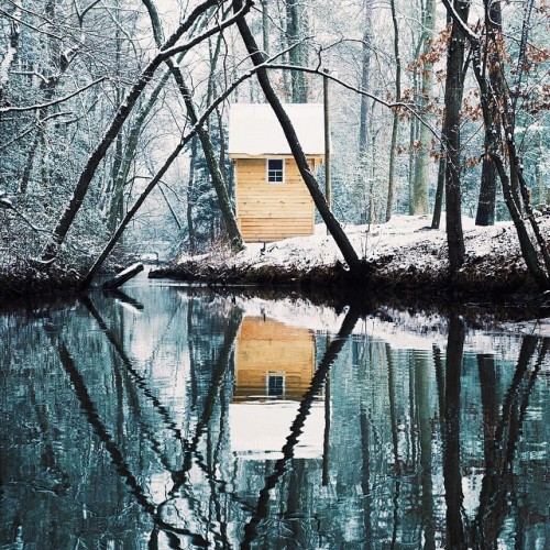 wistfullycountry:  Laura E Pritchett