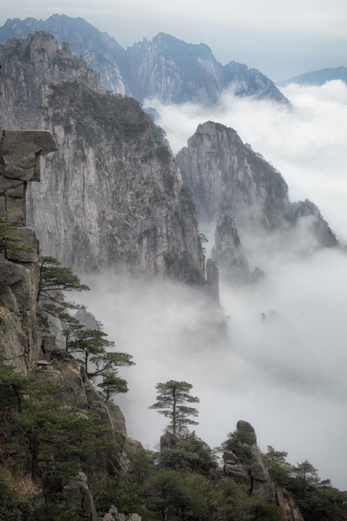 sublim-ature:  Huangshan, ChinaDouglas Knisely 