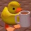 localcryptic69