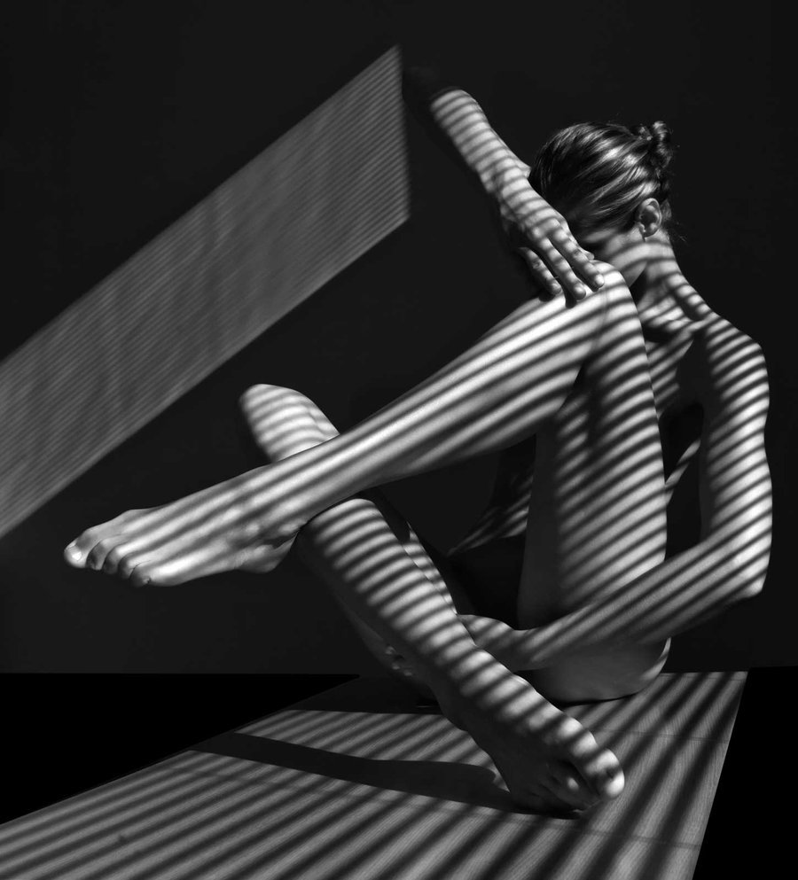 hapticperceptions:  Spider by cenevols, 2012