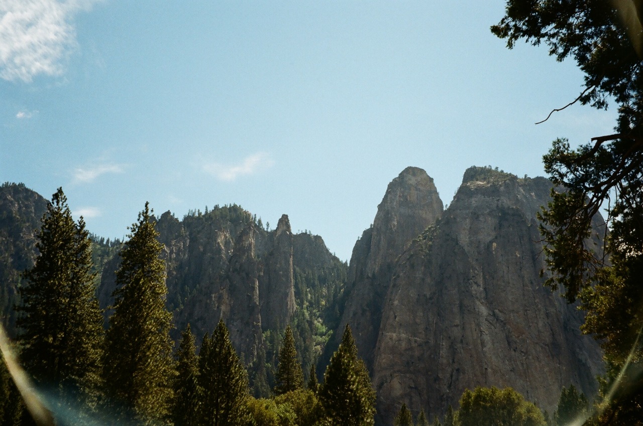 caseykaui:  Yosemite was everything and more than I ever could have dreamed. 35mm