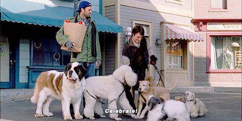 starshollowdaily:Come on, Luke. Celebrate!