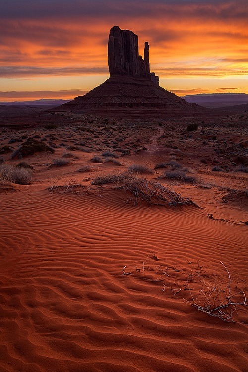 ponderation: West Mitten Butte by Ken Shimizu