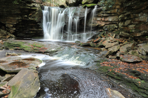 Above are the first two cataracts of Elakala Falls on Shays Run at Blackwater Falls State Park. Two 