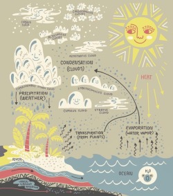 rachelignotofsky:Just 9 more days until @planet_earth_book comes out!!! 🌎 You can tell what weather is rolling in by looking at the clouds ☁️. 🌧❄️☀️ The H20 cycle and many more #inforgraphics in my book The Wondrous Workings of Planet