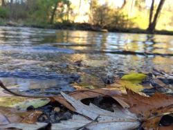 By Foot or By Canoe