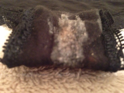  fletchbeast1 submitted:  So close you can almost smell and taste! Wife gets real wet thinking about all the men and women masterbateing over dirty pantys!! Any one wana trade panties?