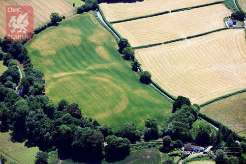 copperbadge: Crop circles? Nope – cropmarks. Incredibly hot, dry weather across Wales this sum