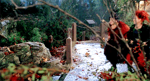 scottstiles:Witch hunters. Observe. They wear black robes and carry axes to chop the wood to burn us