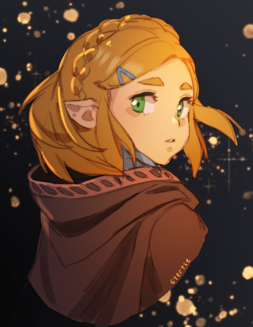 syertse:The Zelda: BOTW sequel caught me by surprise!! I cant wait to see short hair Zelda in action