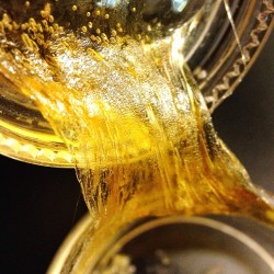 Dabbydabs:  B-Real-Cypresshill:  This Is Some Of The Sweetest #Ogkushwax Ever!! Lol