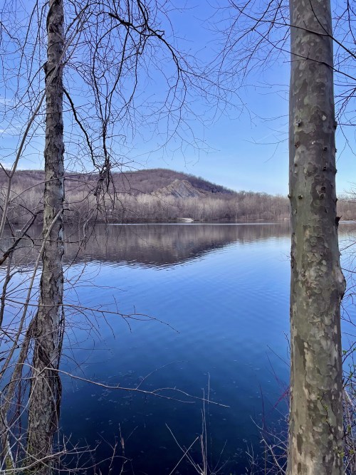 lake pics from a few weeks ago. spring is finally coming… even though we just had a freeze wa