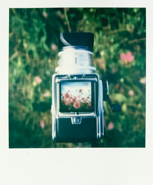 sx-70 film