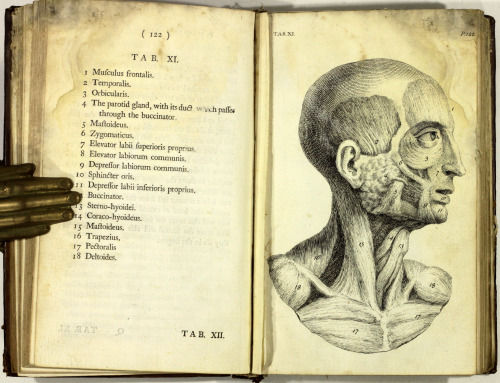 michaelmoonsbookshop:The Anatomy of the Human Body by W CheseldenSurgeon to his Majesty’s Roya