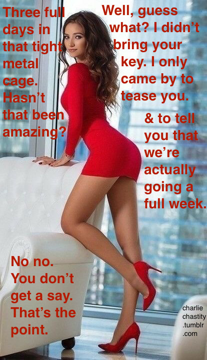 Three full days in that tight metal cage. Hasn’t that been amazing?Well, guess what? I didn’t bring your key. I only came by to tease you.And to tell you that we’re actually going a full week.No no. You don’t get a say. That’s the point.